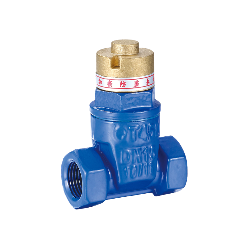 YH-1002 Magnetik Anti-Kecurian Nodular Cast Iron Kedap Pintu Injap
